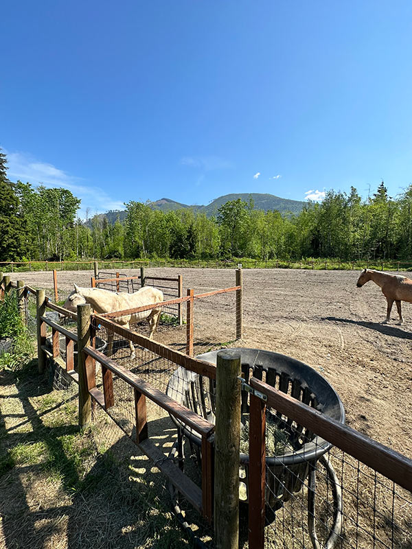 A large, well-graded horse pasture.