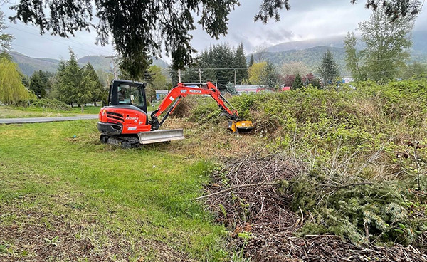 Brush Mowing | Mt. Vernon | Skagit