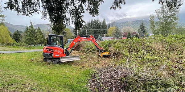 Brush Mowing | Mt. Vernon | Skagit