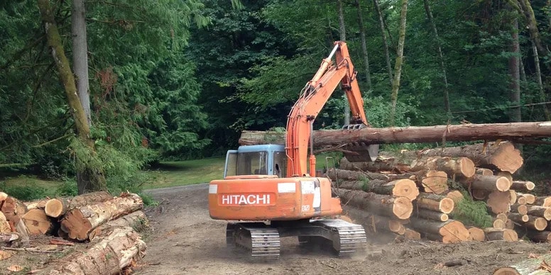 Land Clearing | Mt. Vernon | Skagit